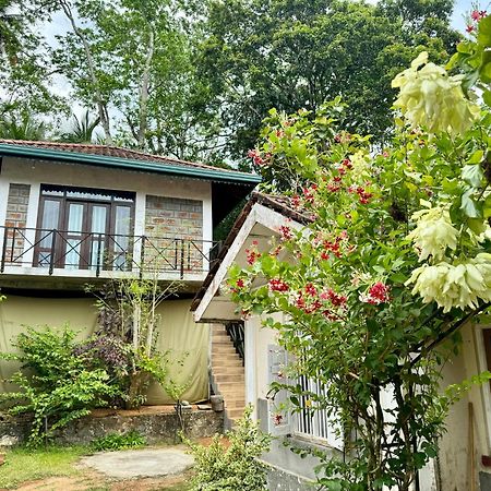 Dosemo Cabana Induruwa Exteriér fotografie