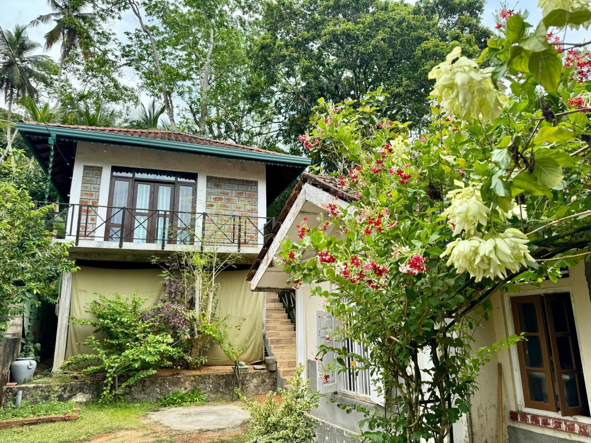 Dosemo Cabana Induruwa Exteriér fotografie