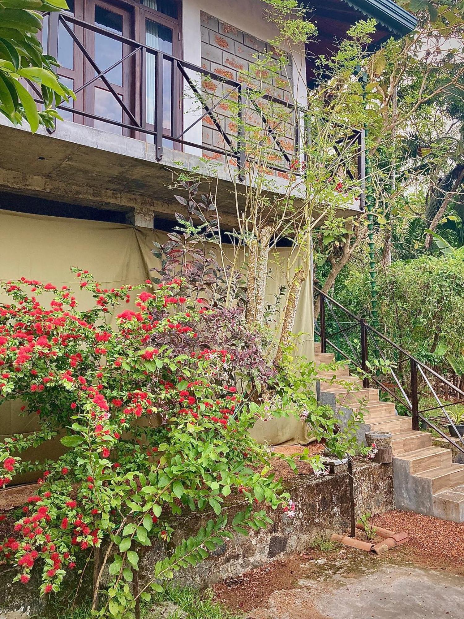 Dosemo Cabana Induruwa Exteriér fotografie